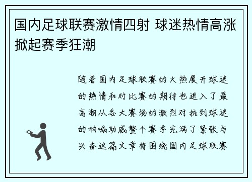 国内足球联赛激情四射 球迷热情高涨掀起赛季狂潮